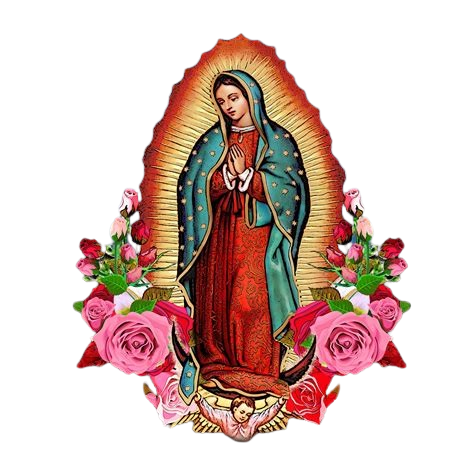 Camisetas vírgenes milagrosas